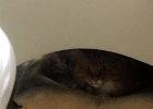 IMG_5225