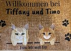 IMG_E7596